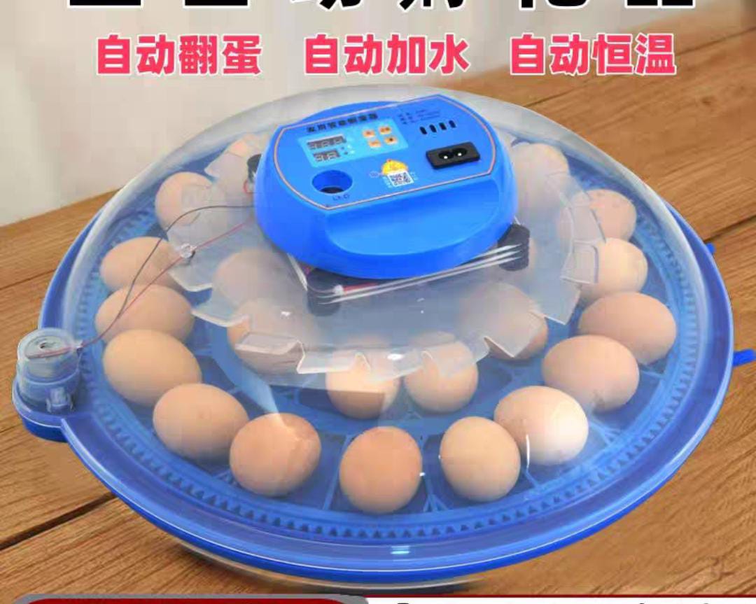 Инкубатор для домашней птицы с доставкой из Китая в Россию