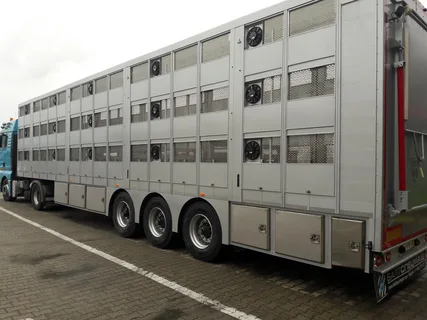 Скотовоз 3-х ярусный из Китая поставка с ПЭК Гуанчжоу в Россию