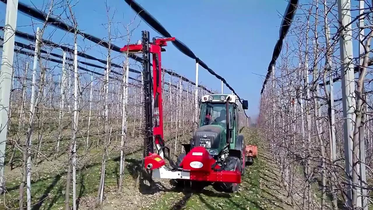 Контурный обрезчик веток из Китая поставка с ПЭК Гуанчжоу в Россию