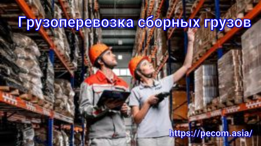 Оборудование по производству мебели в Китае карго Гуанчжоу Пэк